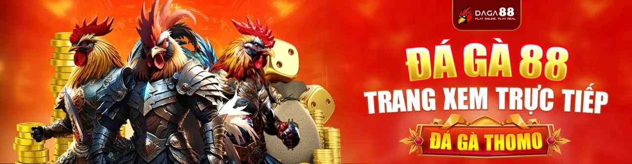 Đá gà trực tiếp tại 188BET 250